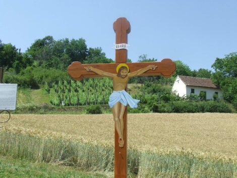 Téma Baranya